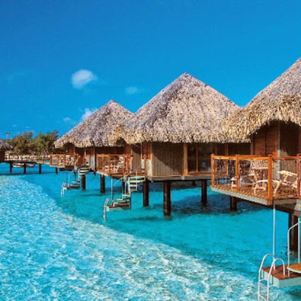 Meet your Posher, Dini